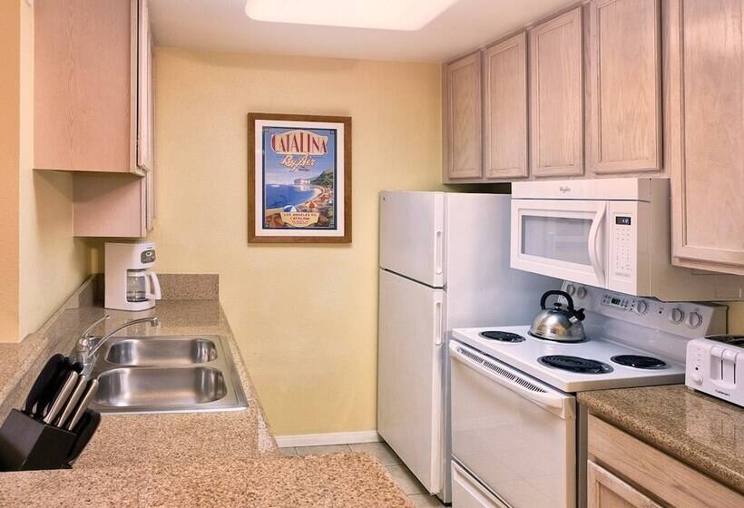 Apartament 2 Dormitoare, Club Wyndham Dolphin S Cove