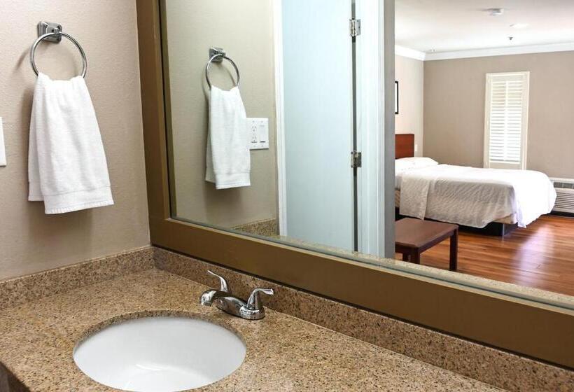 Номер Стандарт, Days Inn By Wyndham San Francisco S/oyster Point Airport