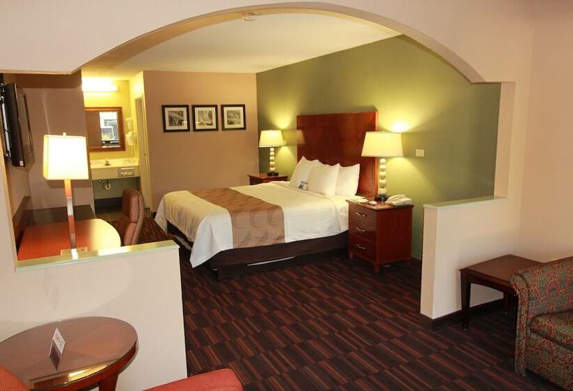 סוויטה, Quality Inn & Suites Near Robins Air Force Base