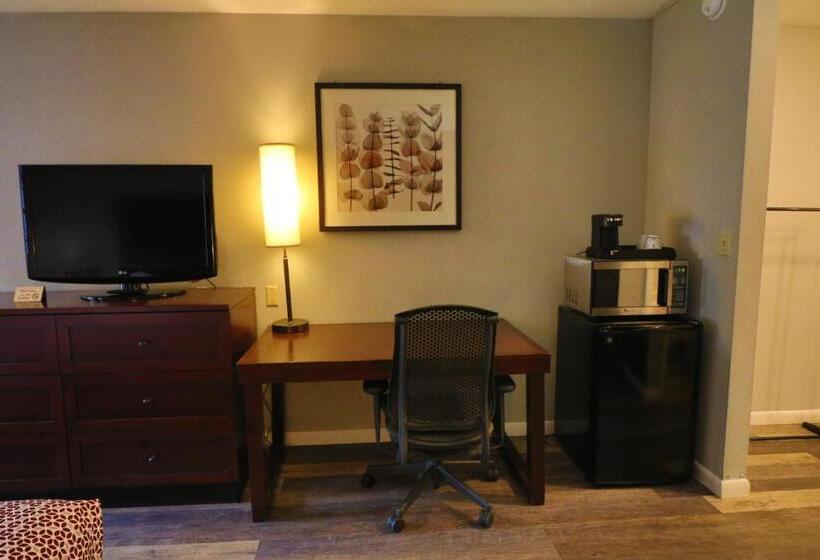 스탠다드 룸 킹사이즈 침대, Alpine Village Inn