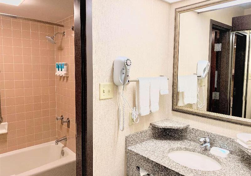 Стандартный Номер Кровать Кинг, Best Western Plus St. Louis Westwestport