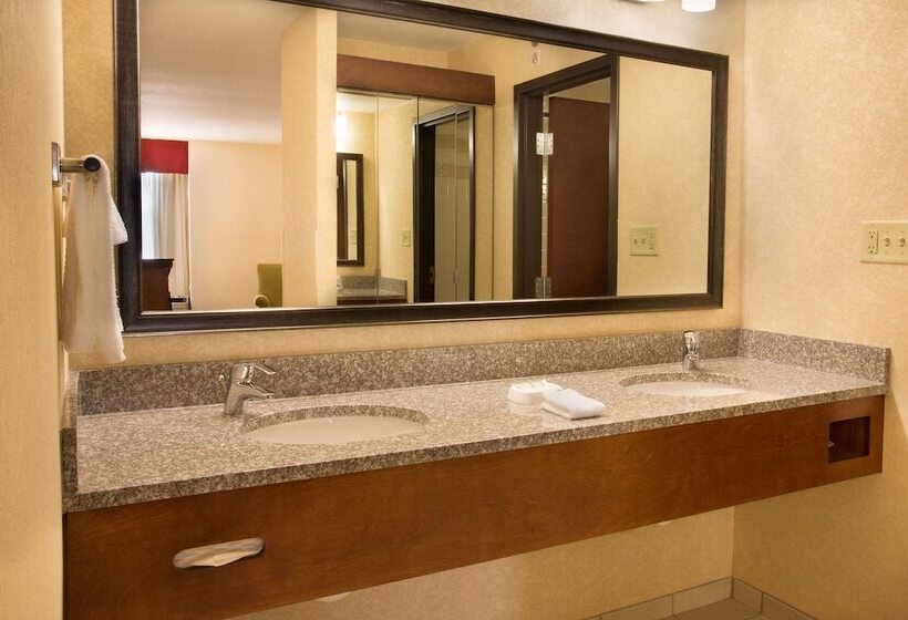 장애인용 디럭스룸, Drury Inn & Suites Charlotte University Place