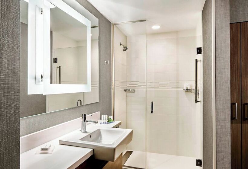 Люкс, Springhill Suites Denver Parker