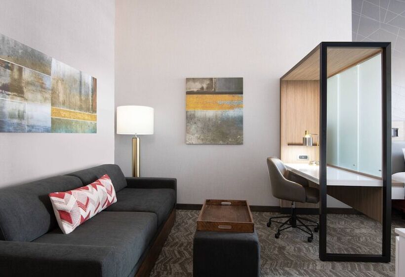 Люкс, Springhill Suites Denver Parker