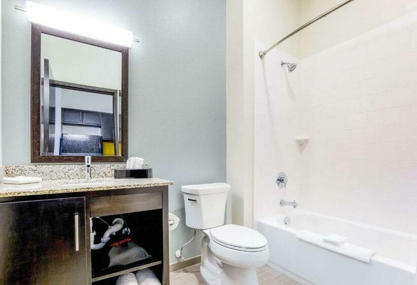 Suíte, Mainstay Suites Winfieldteays Valley