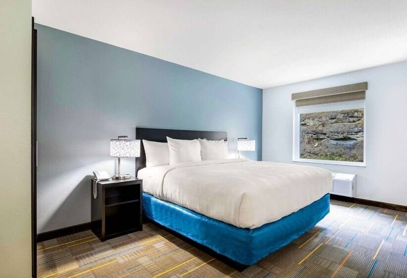 스위트, Mainstay Suites Winfieldteays Valley
