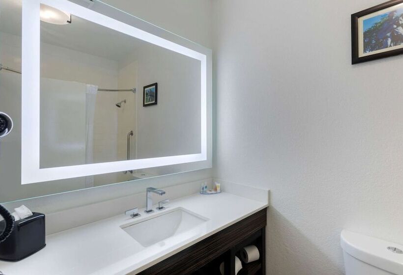 身障者適用スイートルーム, Comfort Inn & Suites