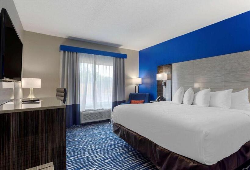 身障者適用キングサイズベッドルーム, Comfort Inn & Suites