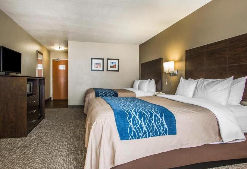 Номер Стандарт Адаптированный для Инвалидов, Comfort Inn & Suites Waterloo  Cedar Falls