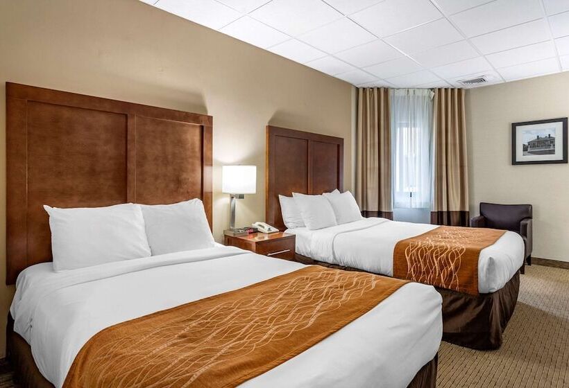 带2个双人床的标准工作室, Comfort Inn Syossetlong Island