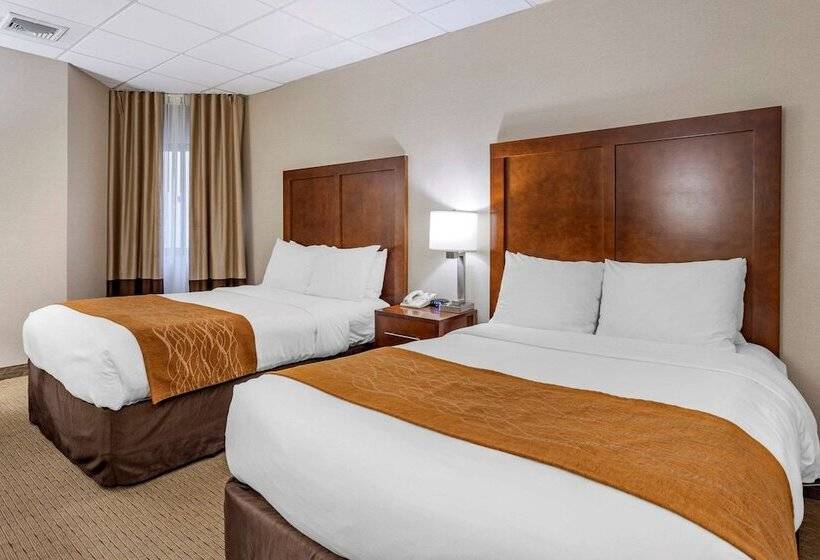 套房, Comfort Inn Syossetlong Island