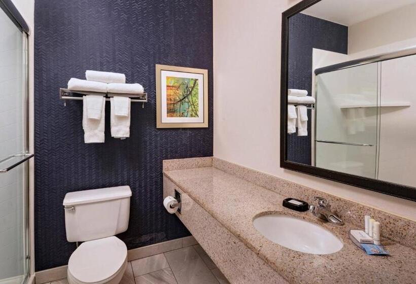 Стандартный Номер Кровать Кинг, Fairfield Inn Saint Louis Collinsville