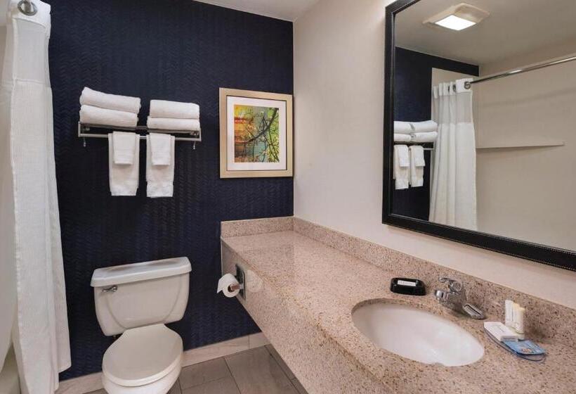 Номер Executive Кровать Кинг, Fairfield Inn Saint Louis Collinsville