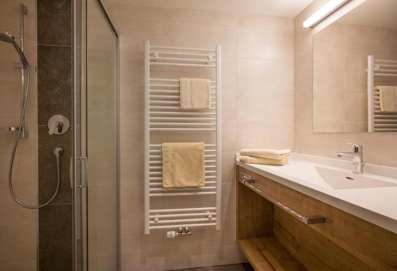 Апартаменты 1 Спальня с Террасой, Hottererhof