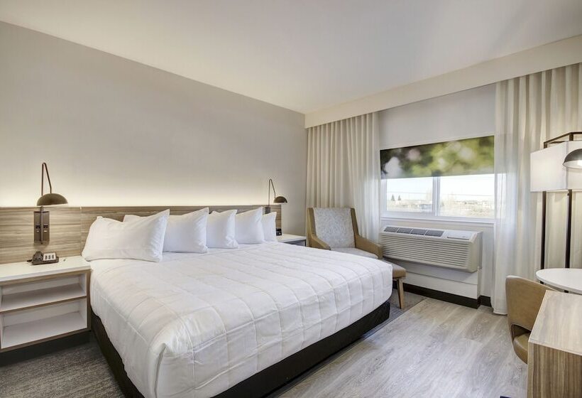 Номер Стандарт Кровать Кинг Адаптированный для Инвалидов, Wyndham Garden Sacramento Airport Natomas