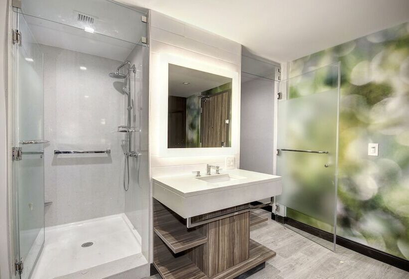 Номер Стандарт Кровать Кинг Адаптированный для Инвалидов, Wyndham Garden Sacramento Airport Natomas