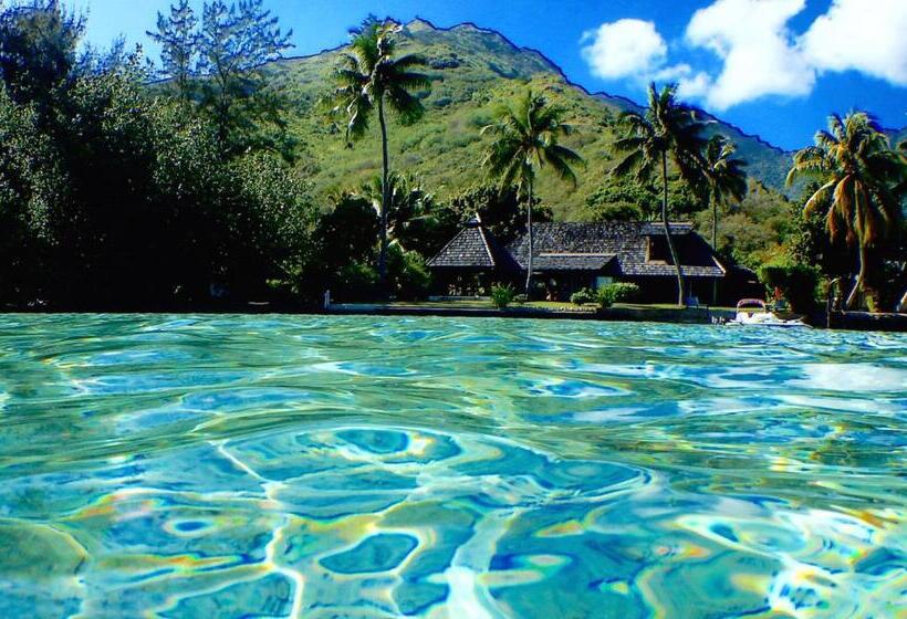 سوئیت جونیور با چشم‌انداز باغ, Poerani Moorea