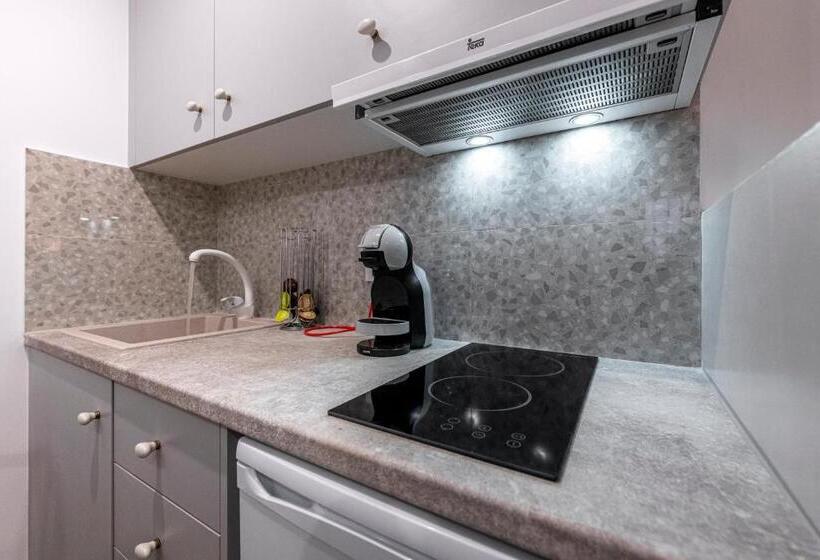 إستوديو قياسى مزودة بتراس, Gaia Lux Inn