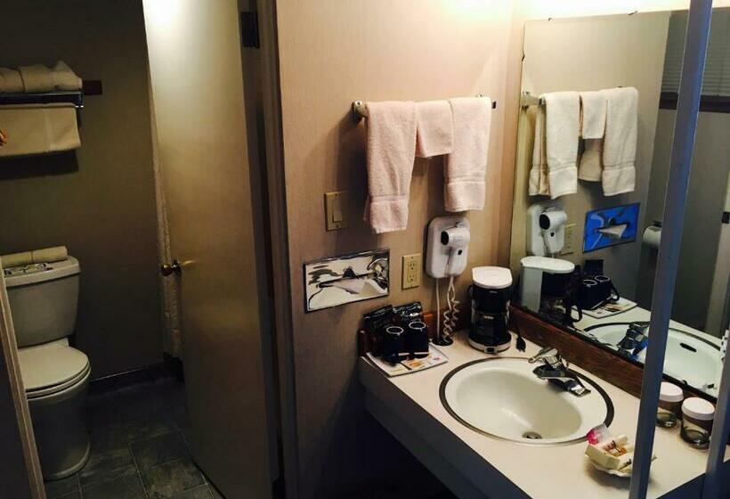 Номер Стандарт, Flagship Inn