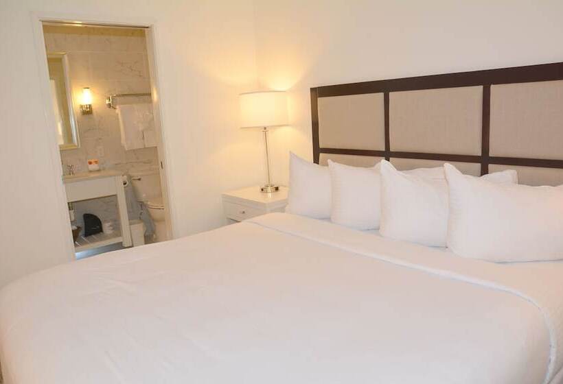 Family Suite, Icona Avalon