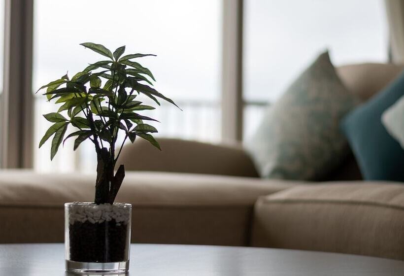 스위트, Cozy Stay In Naha