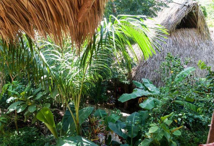 اتاق استاندارد با بالکن, Hostel Clandestino Maderas