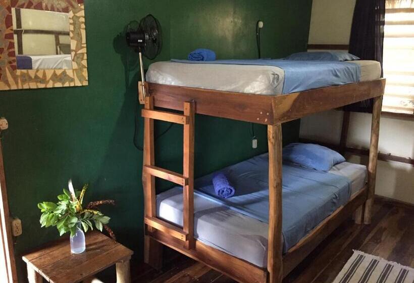 تختخواب در اتاق مشترک, Hostel Clandestino Maderas