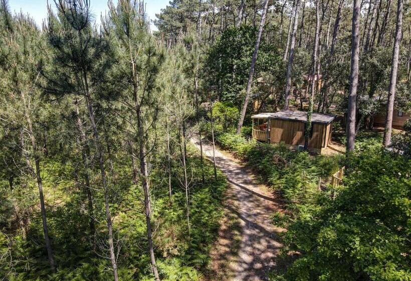 Люкс Повышенной Комфортности, Green Resort