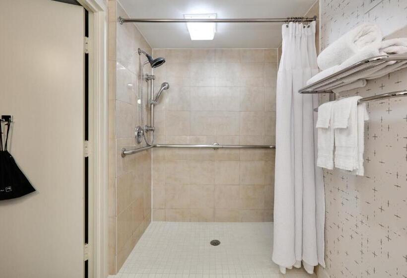 Junior Suite, Crowne Plaza Hotel Dallas Downtown, An Ihg