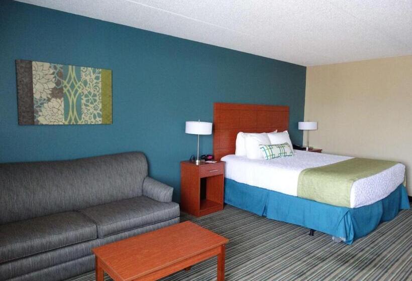 장애인을 위한 킹사이즈 침대 스탠다드 룸, Best Western Warren