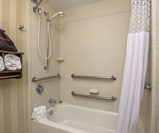 Cameră Standard Adaptată pentru Discapacitaţi, Hampton Inn Portsmouth Central