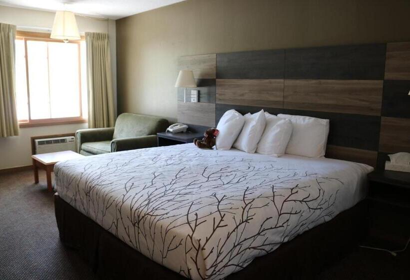 Стандартный Номер Кровать Кинг, Roosevelt Inn Mount Rushmore