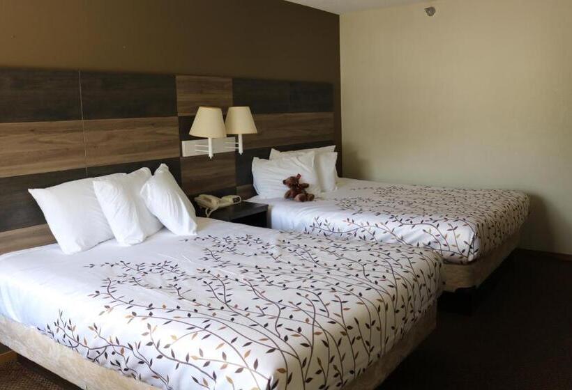 Номер Superior, Roosevelt Inn Mount Rushmore