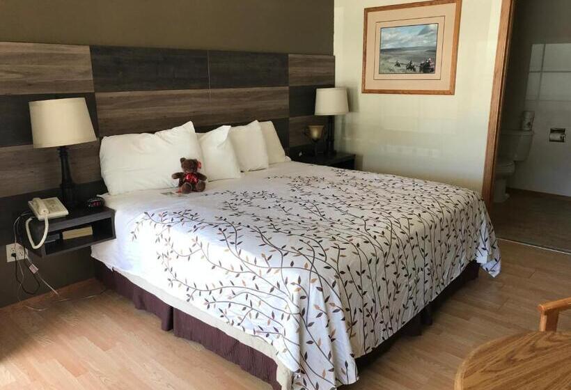 Номер Стандарт Кровать Кинг Адаптированный для Инвалидов, Roosevelt Inn Mount Rushmore