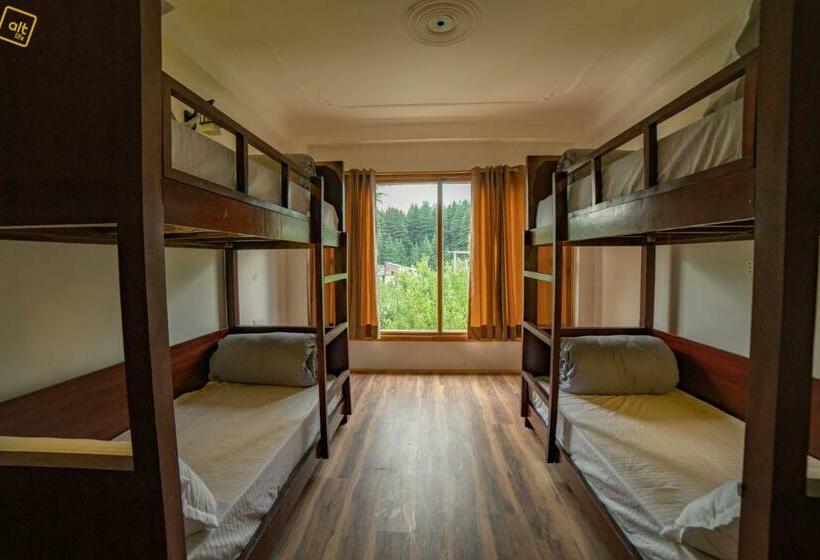 تختخواب در اتاق مشترک, Alt Life Manali