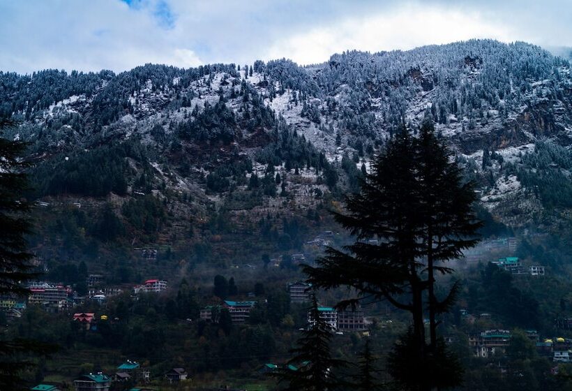 تختخواب در اتاق مشترک, Alt Life Manali