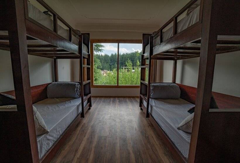 تختخواب در اتاق مشترک, Alt Life Manali