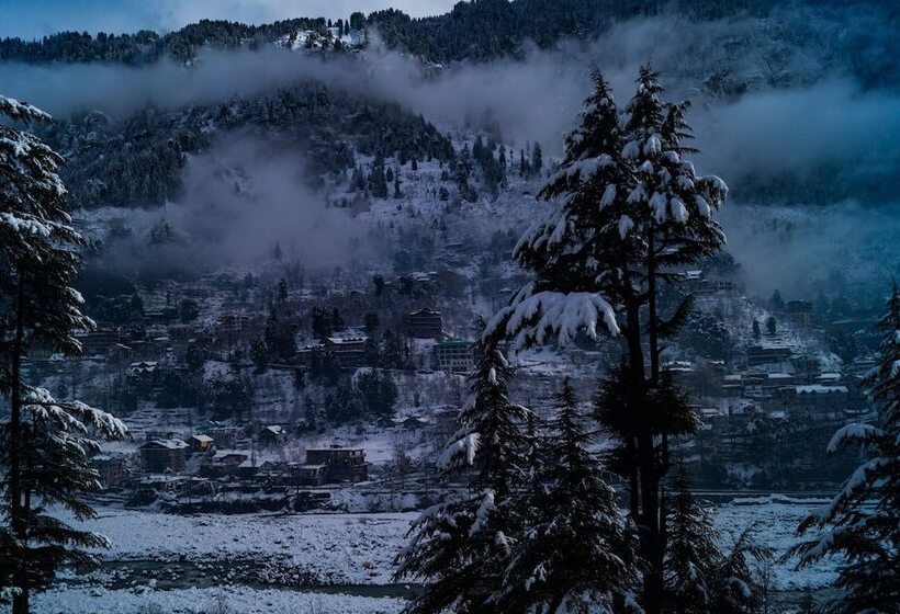 اتاق لوکس, Alt Life Manali
