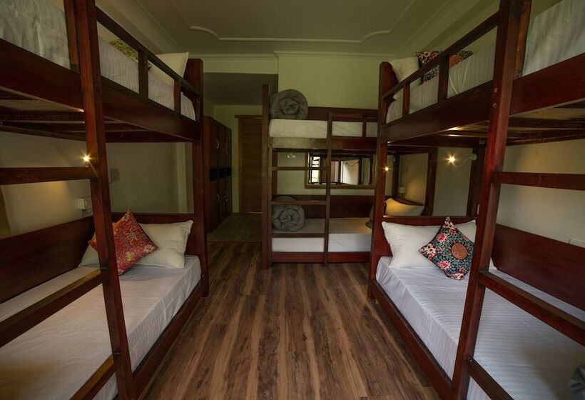تختخواب در اتاق مشترک, Alt Life Manali