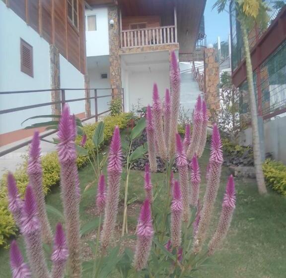 اتاق استاندارد با چشم‌انداز دریا, Domus Guesthouse