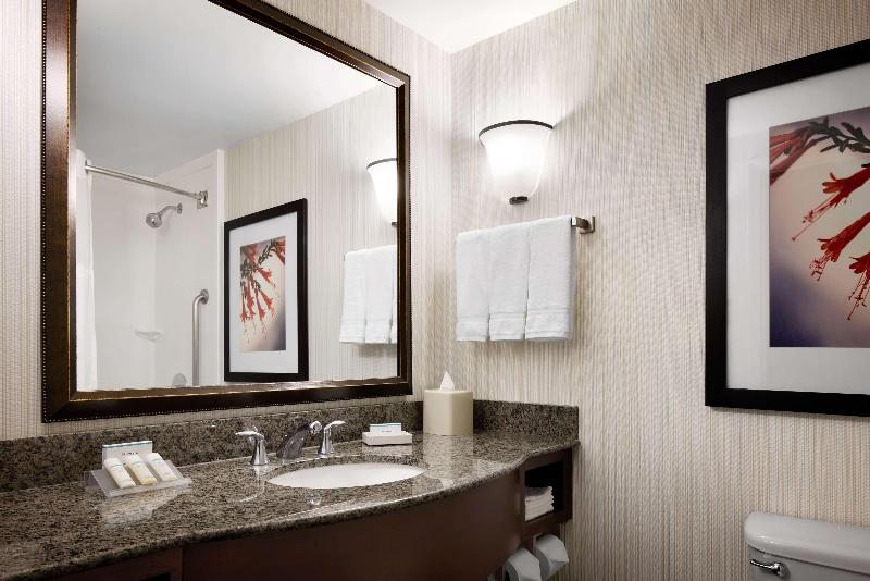 스탠다드 룸 킹사이즈 침대, Hilton Garden Inn Denver South Park Meadows Area