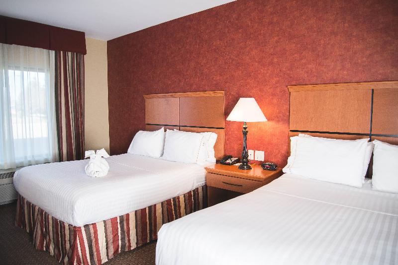 장애인을 위한 킹사이즈 침대 스탠다드 룸, Hilton Garden Inn Denver South Park Meadows Area