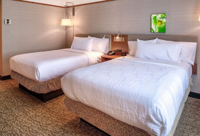 Номер Стандарт 2 Двуспальные Кровати, Hilton Garden Inn Detroit   Southfield, Mi