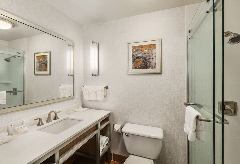 스탠다드 룸 더블 침대 2개, Hilton Garden Inn Flagstaff