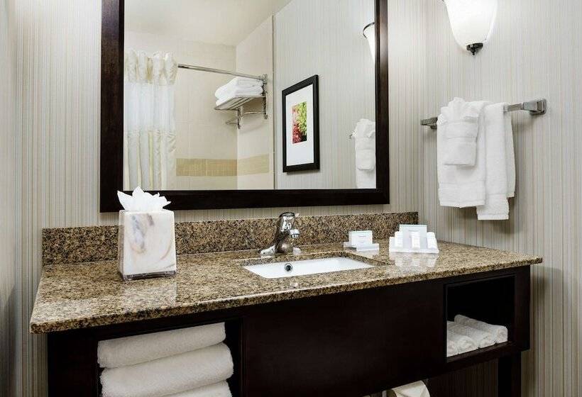 디럭스 룸, Hilton Garden Inn Lake Mary