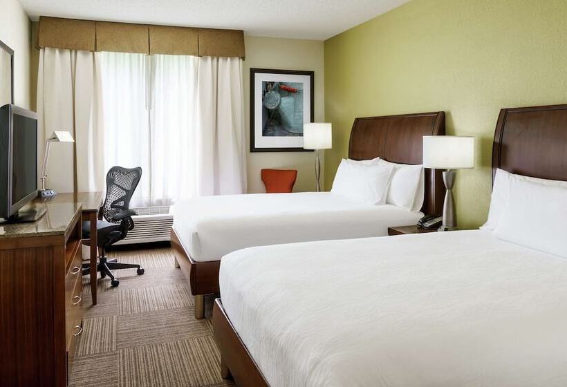 디럭스 룸, Hilton Garden Inn Lake Mary