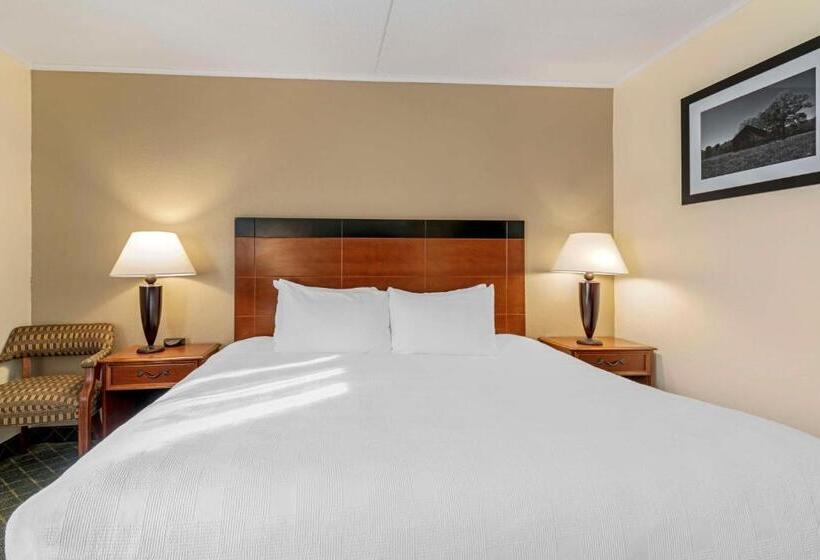Номер Стандарт Кровать Кинг Адаптированный для Инвалидов, Best Western Plus Augusta Civic Center Inn