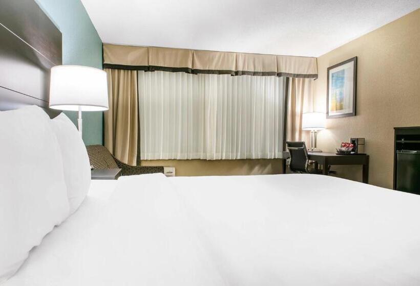 Стандартный Номер Кровать Кинг, Quality Inn Dayton Airport