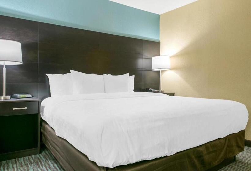 Стандартный Номер Кровать Кинг, Quality Inn Dayton Airport
