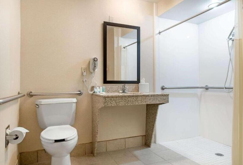 Номер Стандарт Кровать Кинг Адаптированный для Инвалидов, Quality Inn Dayton Airport